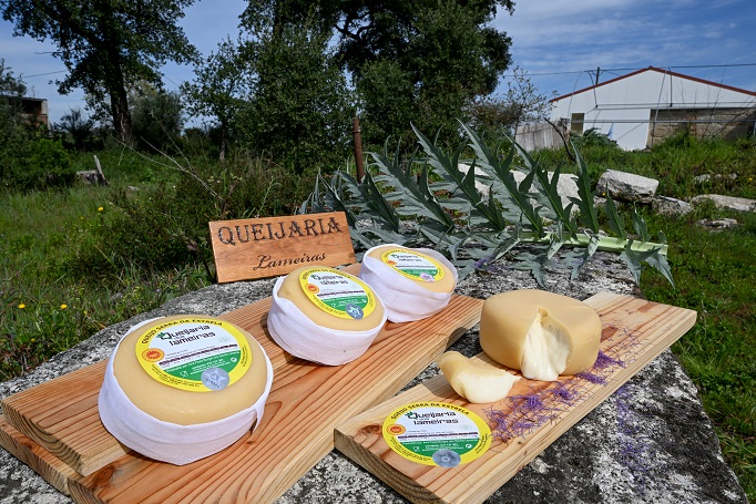 Queijaria Lameiras 4
