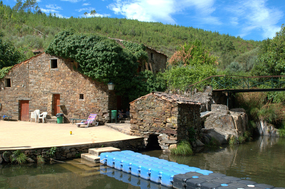 Pfluvialfroia 3