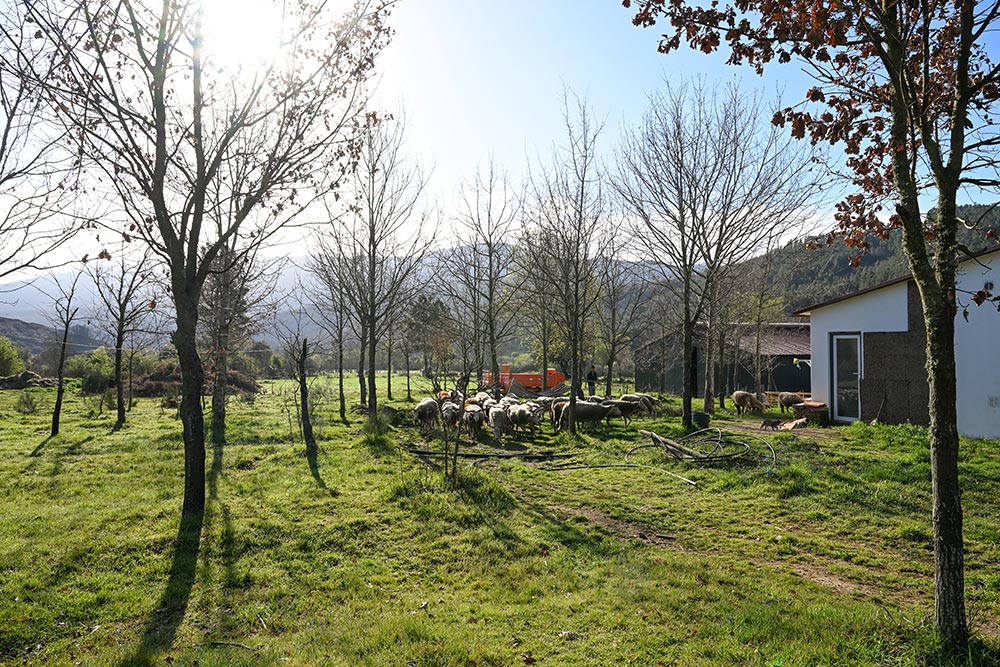 Agroturismo Vale Do Beijames2